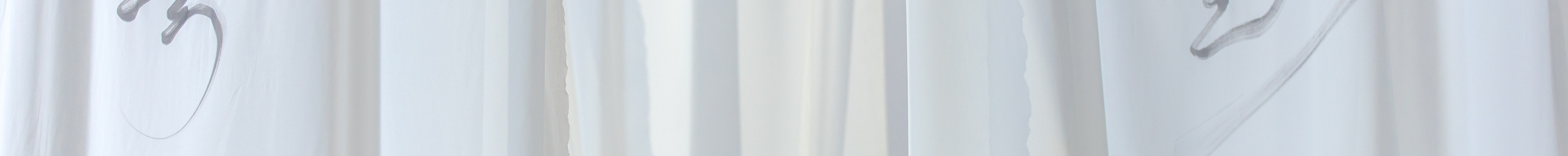 Diondecor.lt curtains banner